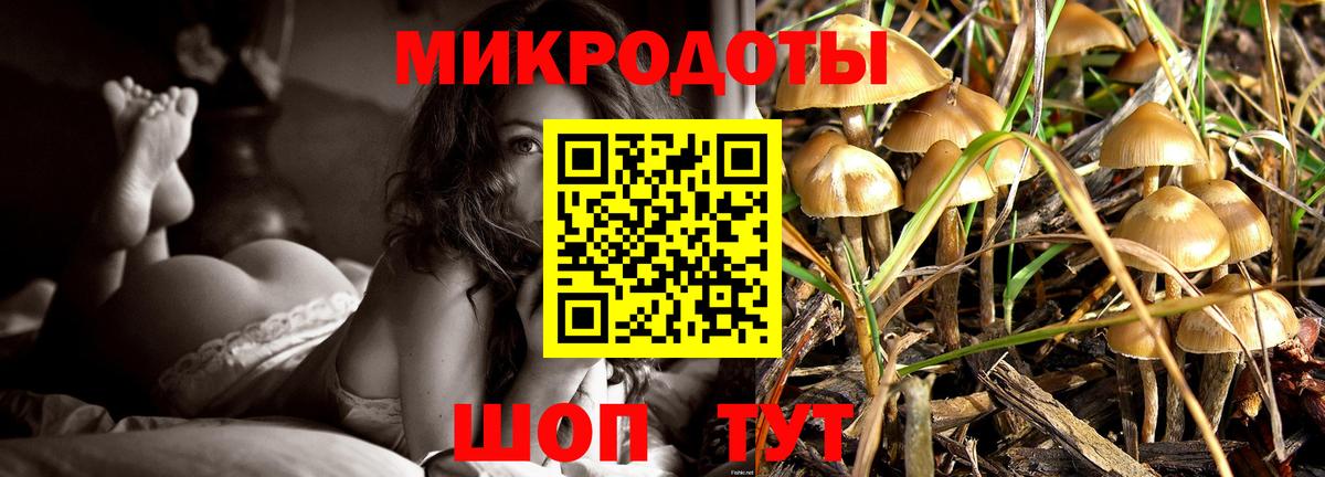 Елабуга  Псилоцибиновые грибы MAGIC MUSHROOMS  Вход с VPN 